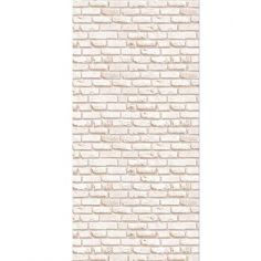 5905 XL56